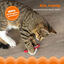 Outward Hound Catstages Green Magic Dynamite Vermelho Peluche para gatos, , large Indicador imagem número 4