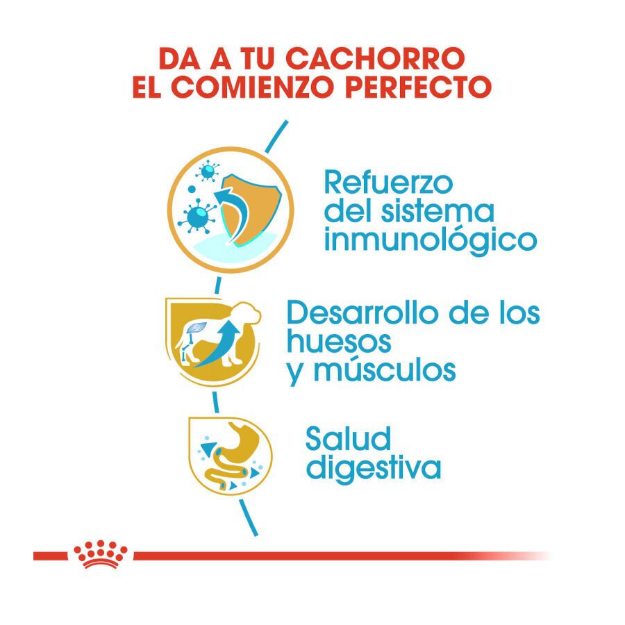 12 kg Royal Canin Puppy Rottweiler ra&ccedil;&atilde;o para c&atilde;es, , large Imagem n&uacute;mero 5