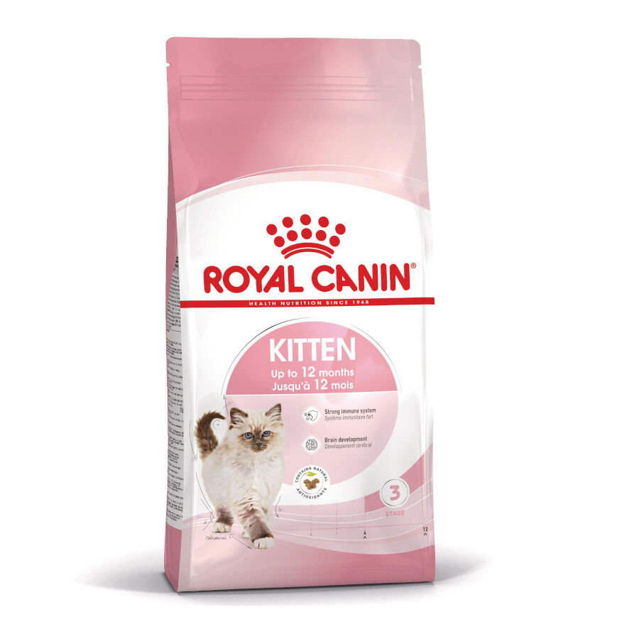 10 kg Royal Canin Kitten ra&ccedil;&atilde;o para gatos, , large Imagem n&uacute;mero 1