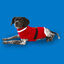 Wonder Christmas Santa Camisola de Natal para cães, , large Indicador imagem número 2