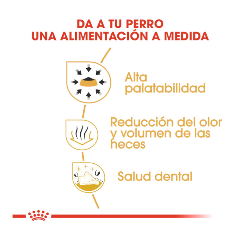 3 kg Royal Canin Adult Chihuahua ração para cães,  Imagem número 6 3 kg Royal Canin Adult Chihuahua ração para cães, , large Imagem número 6