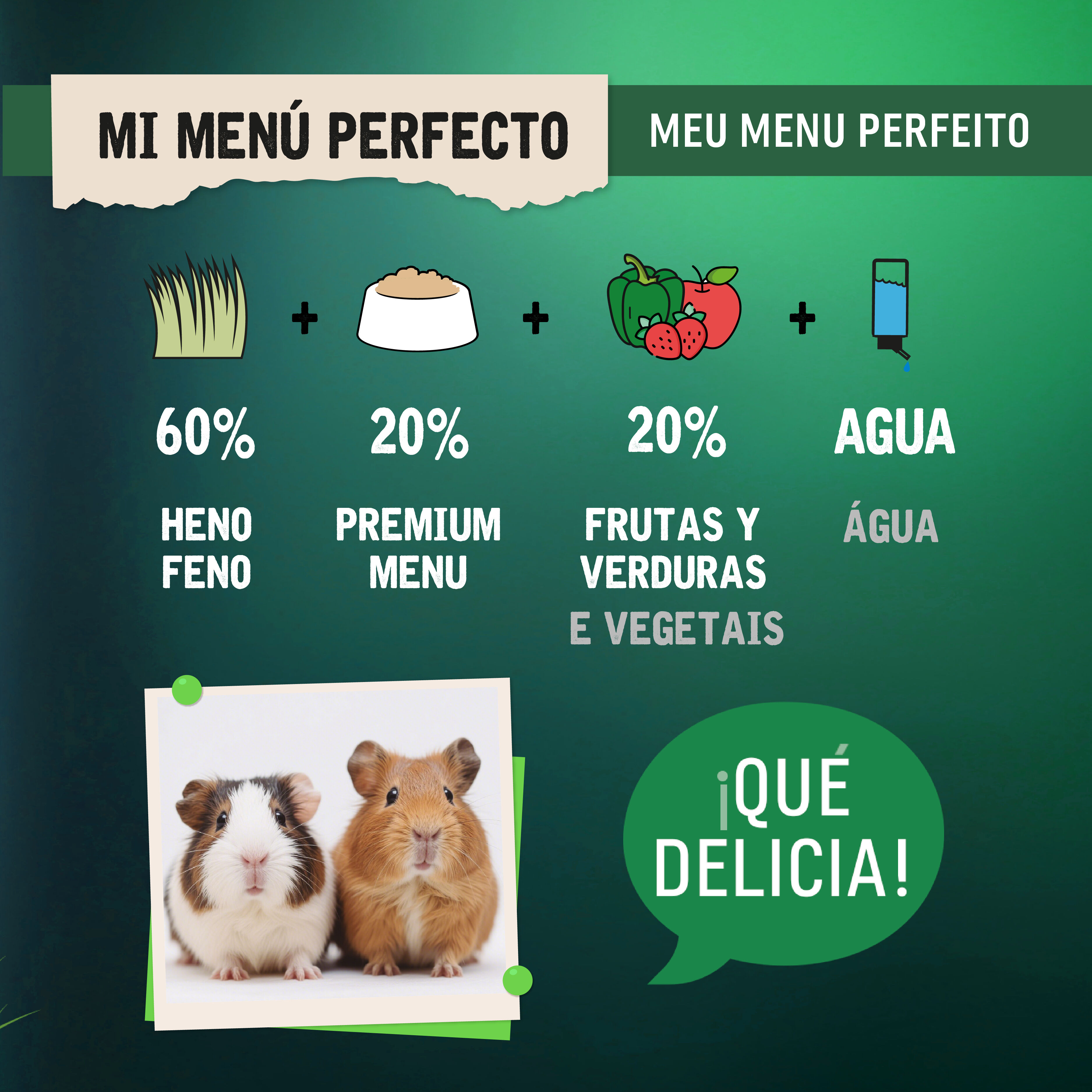 4 kg Small Life Premium Men&uacute; Comida para Porquinhos-da-&Iacute;ndia, , large Imagem n&uacute;mero 5