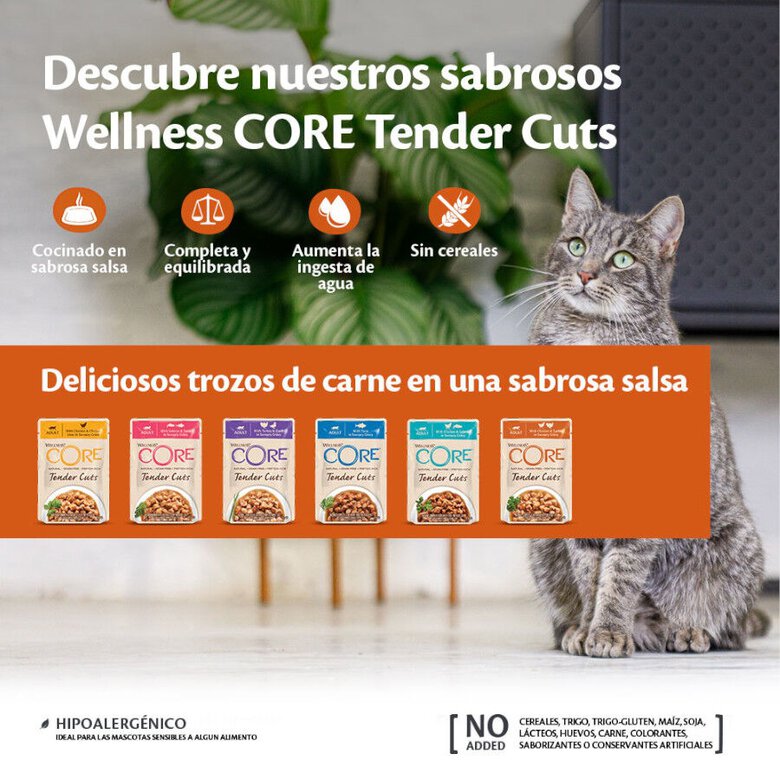 85 g Wellness Core Tender Cuts frango e peru saquetas para gatos,  Imagem número 3  85 g Wellness Core Tender Cuts frango e peru saquetas para gatos, , large Imagem número 3