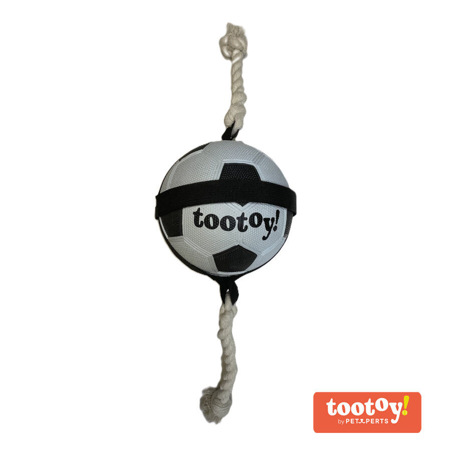 Tootoy! Chase Large Football bola para c&atilde;es, , large Imagem n&uacute;mero 1