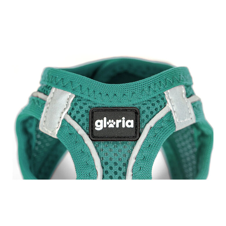 Gloria Air Mesh Trek Star Turquesa Peitoral/Vestido para cães,  Imagem número 5 Gloria Air Mesh Trek Star Turquesa Peitoral/Vestido para cães, , large Imagem número 5