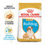Royal Canin Puppy Bulldog ração para cães, , large Indicador imagem número 1