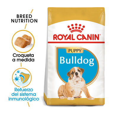 Royal Canin Puppy Bulldog ração para cães