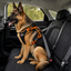Outech X-perience Arn&ecirc;s de Carro para c&atilde;es, , large Indicador imagem n&uacute;mero 2