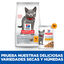Hill's Science Plan Feline Sterilised Kitten Frango em Molho saqueta para gatos, , large Indicador imagem número 5