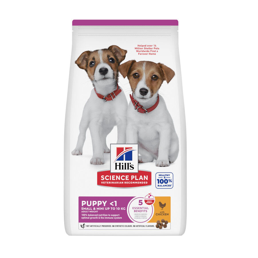 Hill's Puppy Smal e Mini Science Plan Frango ra&ccedil;&atilde;o, , large Imagem n&uacute;mero 1