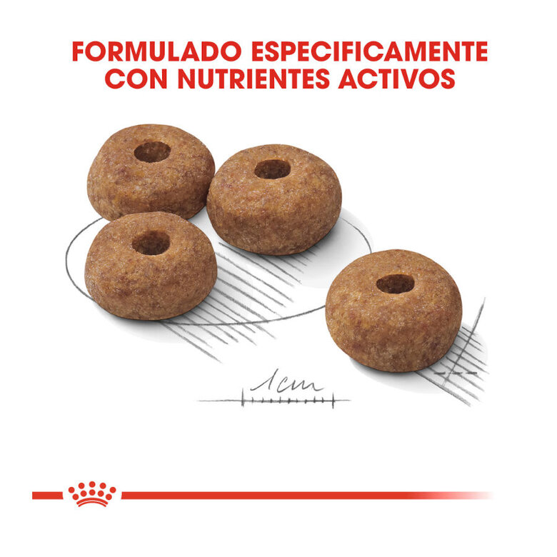 12 kg Royal Canin Sterilised Medium ração para cães,  Imagem número 4 12 kg Royal Canin Sterilised Medium ração para cães, , large Imagem número 4