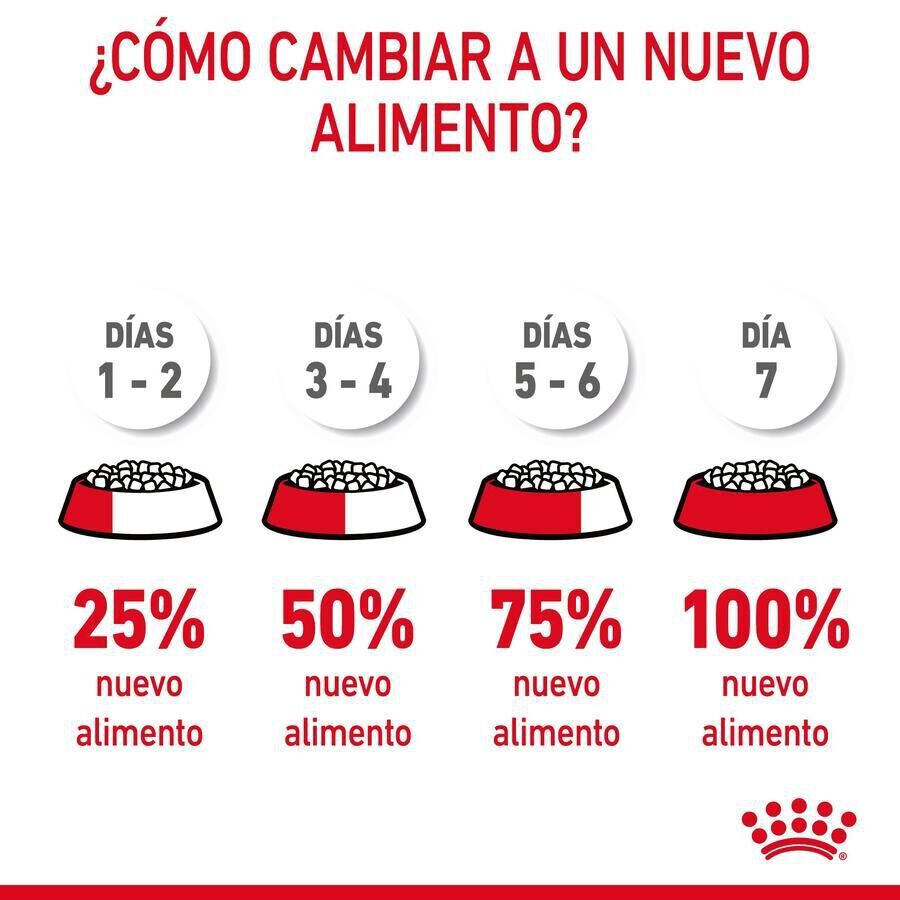 10 kg Royal Canin Appetite Control Care ra&ccedil;&atilde;o para gatos , , large Imagem n&uacute;mero 4