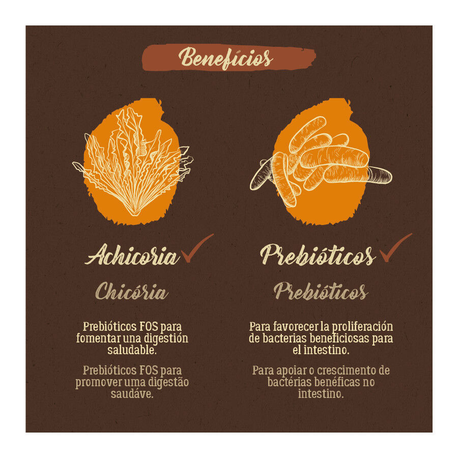 3 kg True Origins Pure Mini Adult Frango ra&ccedil;&atilde;o para c&atilde;es, , large Imagem n&uacute;mero 6