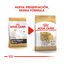 Royal Canin Adult Jack Russell Terrier ração para cães, , large Indicador imagem número 3