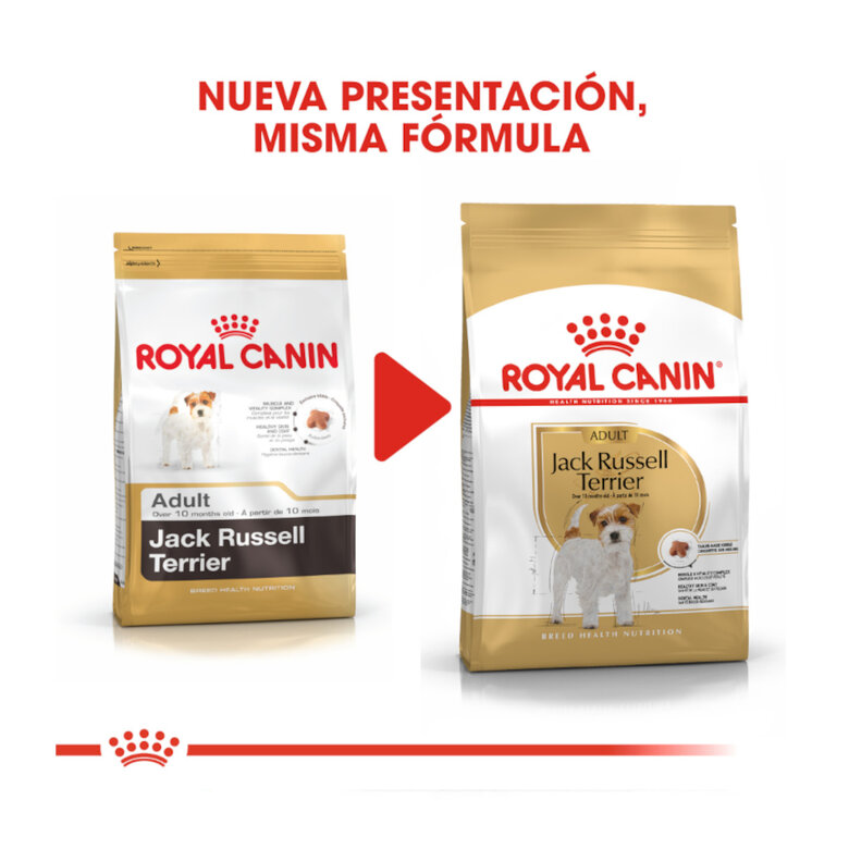 Royal Canin Adult Jack Russell Terrier ração para cães,  Imagem número 3 Royal Canin Adult Jack Russell Terrier ração para cães, , large Imagem número 3