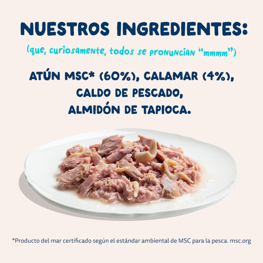 70 g Edgard & Cooper Alimento h&uacute;mido de atum e lula em lata para gatos, , large Imagem n&uacute;mero 6