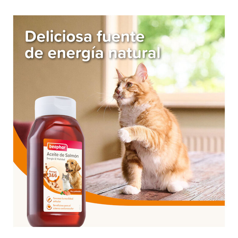 425 ml Beaphar Óleo de Salmão para cães e gatos,  Imagem número 4 425 ml Beaphar Óleo de Salmão para cães e gatos, , large Imagem número 4