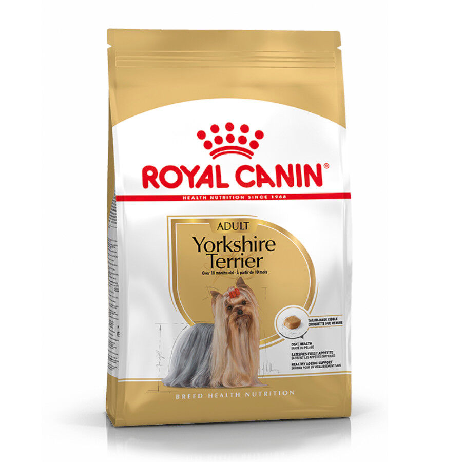 3 kg Royal Canin Adult Yorkshire Terrier ra&ccedil;&atilde;o para c&atilde;es, , large Imagem n&uacute;mero 1