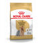 7.5 kg Royal Canin Adult Yorkshire Terrier ração para cães, , large Indicador imagem número 1