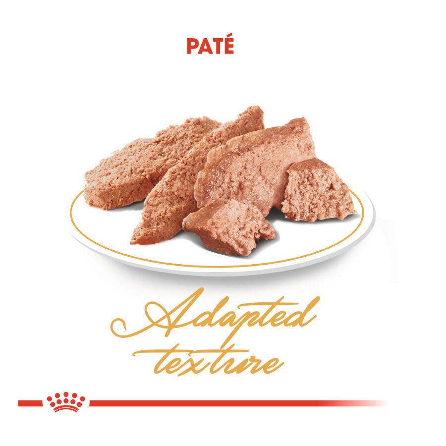 85 g Royal Canin Feline Adult Persa, , large Imagem n&uacute;mero 4