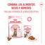 48 saquetas x 85 g Royal Canin Kitten Sterilised alimento húmido em molho saquetas para gatos Pack poupança!, , large Indicador imagem número 5