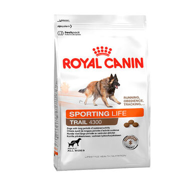 Royal Canin Adult Sporting Life Endurance 4300 ração para cães