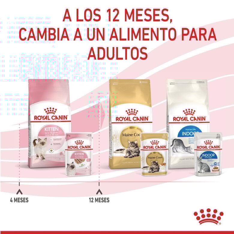 85 g Royal Canin Kitten patê em saquetas para gatos,  Imagem número 11 85 g Royal Canin Kitten patê em saquetas para gatos, , large Imagem número 11