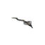 Nayeco Snake Jurasic Ecoline peluche para cães, , large Indicador imagem número 2
