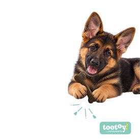 Tootoy! Puppy Mordedor Osso Chave-Cora&ccedil;&atilde;o Castanho para cachorros