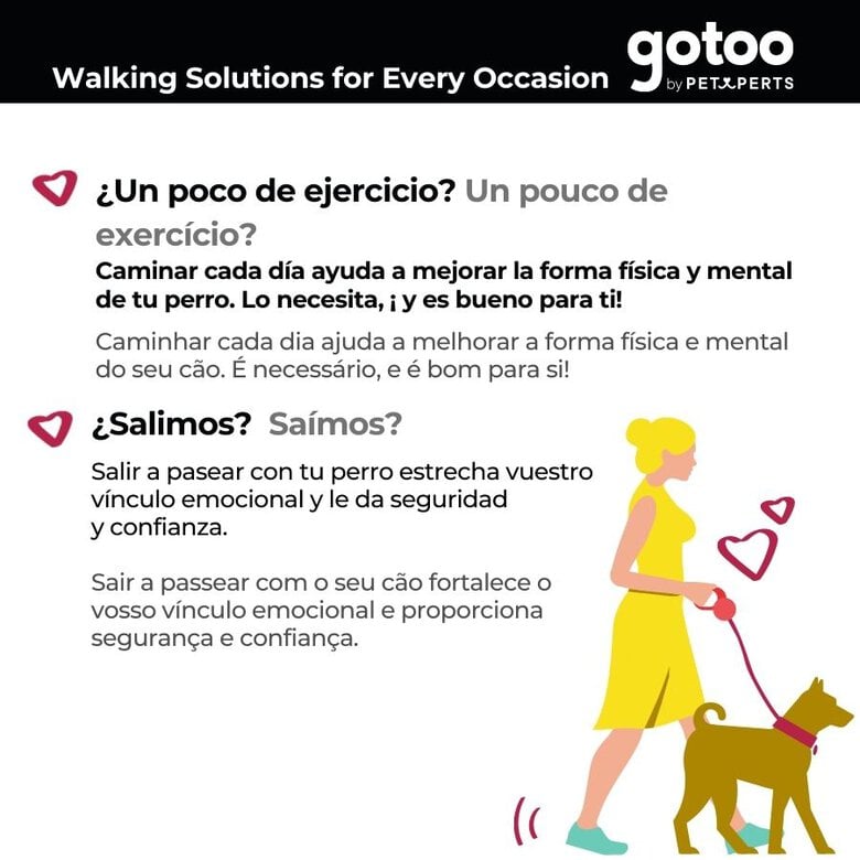 Gotoo Trela estampada tartã vermelho para cães,  Imagem número 6 Gotoo Trela estampada tartã vermelho para cães, , large Imagem número 6