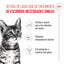48 saquetas x 85 g Royal Canin Kitten Sterilised alimento húmido em molho saquetas para gatos Pack poupança!, , large Indicador imagem número 3