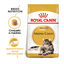 4 kg Royal Canin Adult Maine Coon ração para gatos, , large Indicador imagem número 2