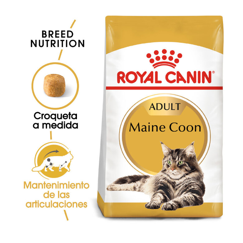 10 kg Royal Canin Adult Maine Coon ração para gatos,  Imagem número 2 10 kg Royal Canin Adult Maine Coon ração para gatos, , large Imagem número 2