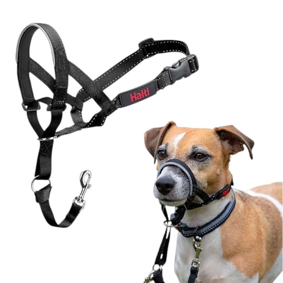 Halti Coleira anti-pux&atilde;o para c&atilde;o, , large Imagem n&uacute;mero 2