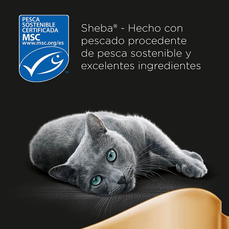 6 saquetas x 50 g Sheba Délices du Jour em Atum, Bacalhau e Molho de Peixe Branco ração húmida para gatos,  Imagem número 6 6 saquetas x 50 g Sheba Délices du Jour em Atum, Bacalhau e Molho de Peixe Branco ração húmida para gatos, , large Imagem número 6