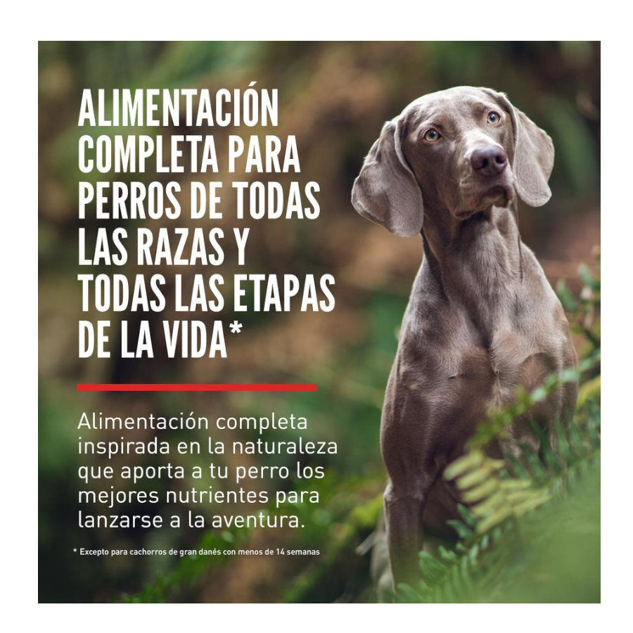 11.4 kg Orijen Adult Original ra&ccedil;&atilde;o para c&atilde;es, , large Imagem n&uacute;mero 2