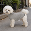 Gotoo Camisola de Malha Cinzenta para c&atilde;es, , large Indicador imagem n&uacute;mero 1