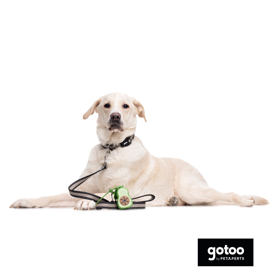 Gotoo Coleira mesh cinza para c&atilde;es, , large Imagem n&uacute;mero 5
