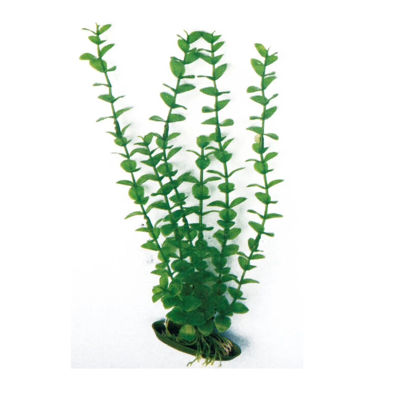 accesorios_peces_acuario_decoracion_planta_plastico_acorus_NAY8011246 Imagem número 1 Rotala planta de plástico para acuario Imagem número 1