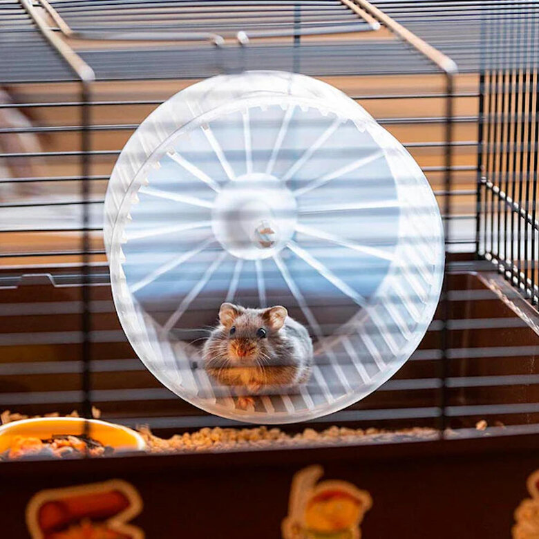 Ferplast Criceti 9 Piratas Preta Jaula para roedores,  Imagem número 5 Ferplast Criceti 9 Piratas Preta Jaula para roedores, , large Imagem número 5