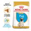 1.5 kg Royal Canin Puppy Pug ração para cães, , large Indicador imagem número 2