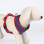 DC Super Pets Peitoral estampado para cães, , large Indicador imagem número 3