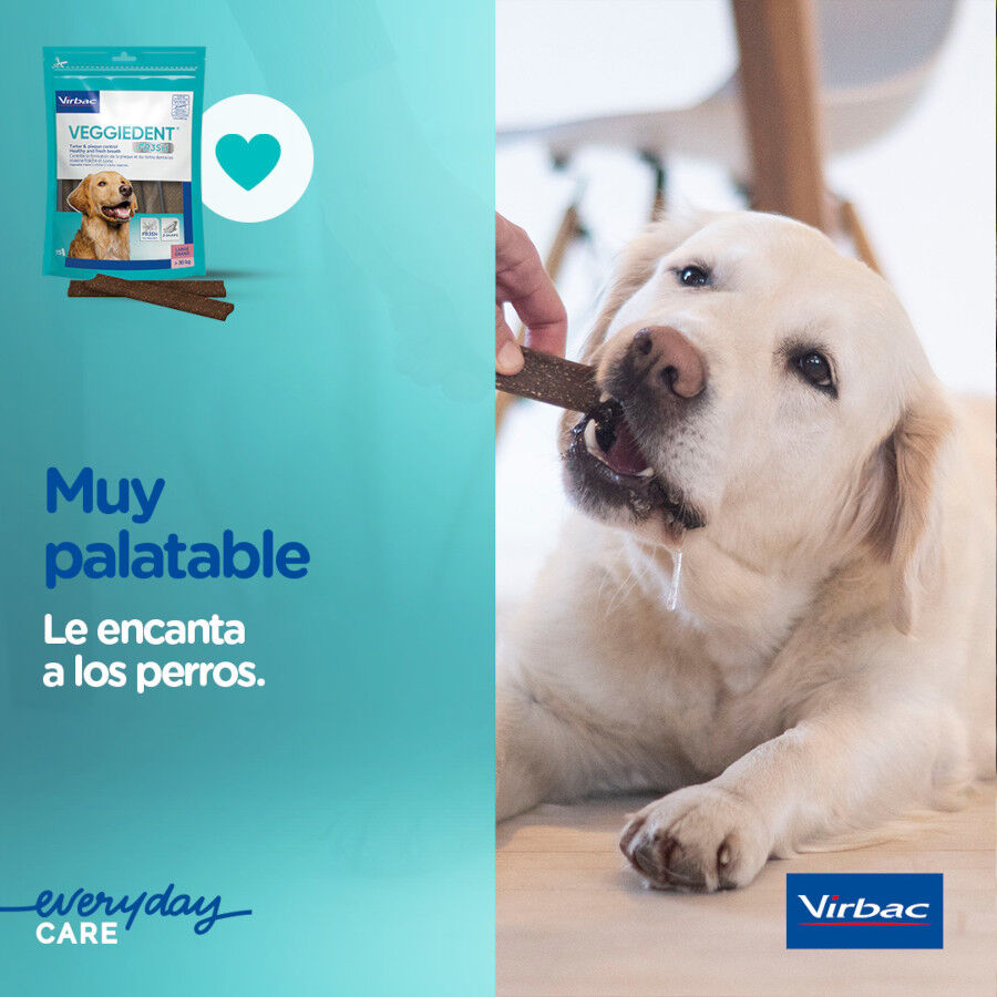15 sticks Virbac Snacks Dent&aacute;rios Veggiedent Fresh para c&atilde;es de ra&ccedil;a grande, , large Imagem n&uacute;mero 7