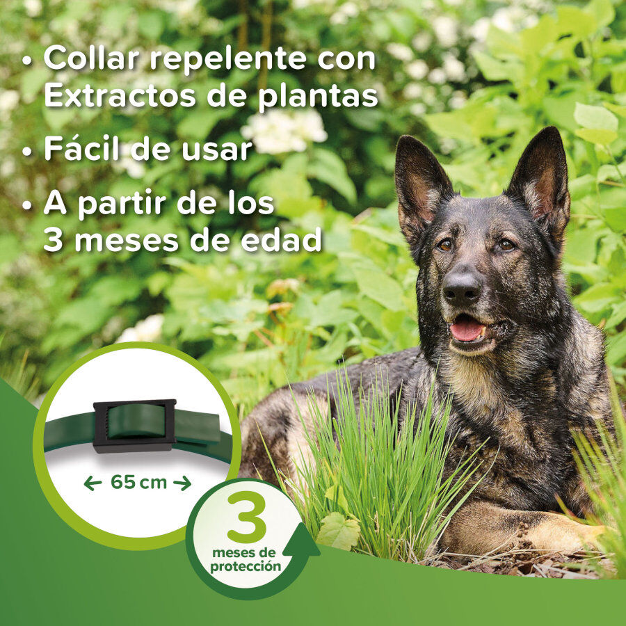 Beaphar Bio Band Coleira repelente para c&atilde;es, , large Imagem n&uacute;mero 4