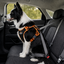 Outech X-perience Arn&ecirc;s de Carro para c&atilde;es, , large Indicador imagem n&uacute;mero 2