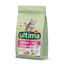 1.5 kg Affinity Ultima Junior Frango ração para gatos, , large Indicador imagem número 1