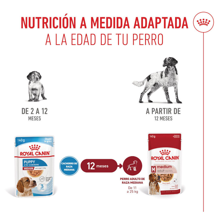 140 g Royal Canin Medium Puppy saquetas para c&atilde;es, , large Imagem n&uacute;mero 5