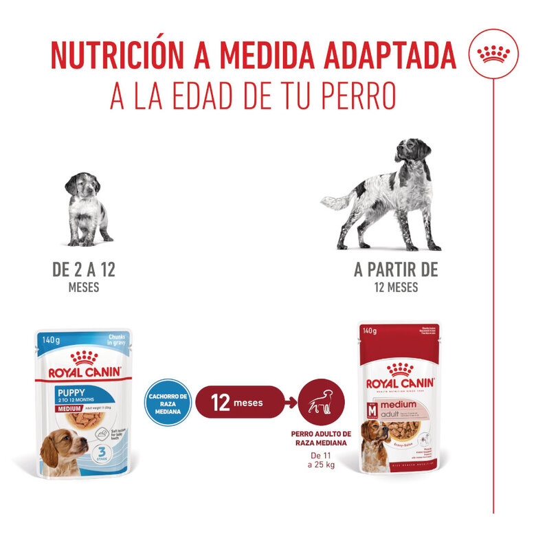 140 g Royal Canin Medium Puppy saquetas para cães,  Imagem número 5 140 g Royal Canin Medium Puppy saquetas para cães, , large Imagem número 5