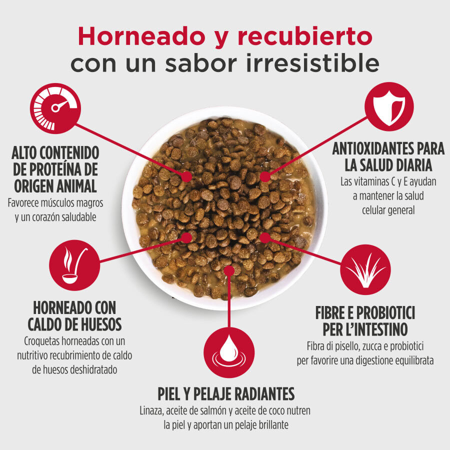 5 kg Nulo Baked & Coated Ra&ccedil;&atilde;o de Frango, Peru e Pato para Cachorros, , large Imagem n&uacute;mero 4