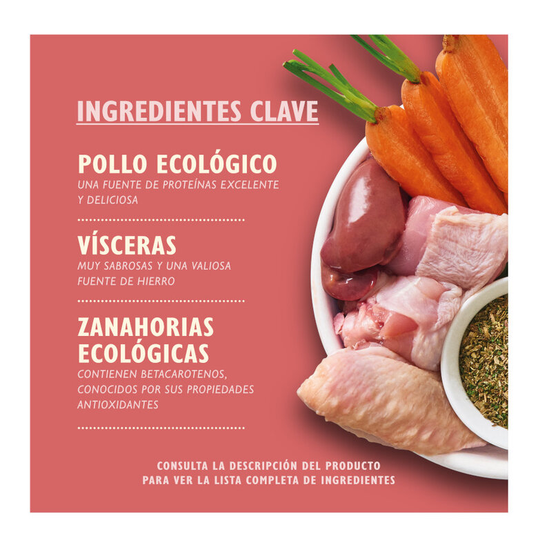 150 g Lily's Kitchen Puppy Organic Frango terrina,  Imagem número 2 150 g Lily's Kitchen Puppy Organic Frango terrina, , large Imagem número 2